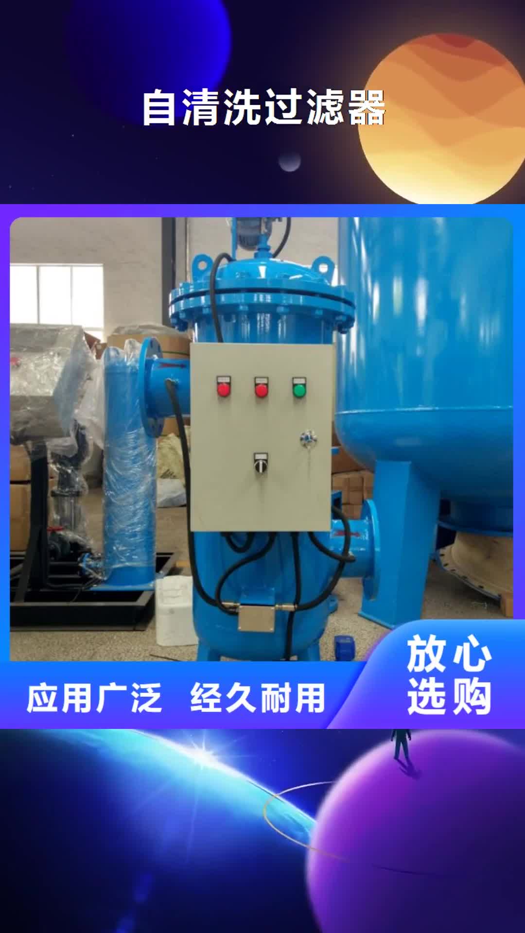 来宾 自清洗过滤器-【全程综合水处理器】工厂直供