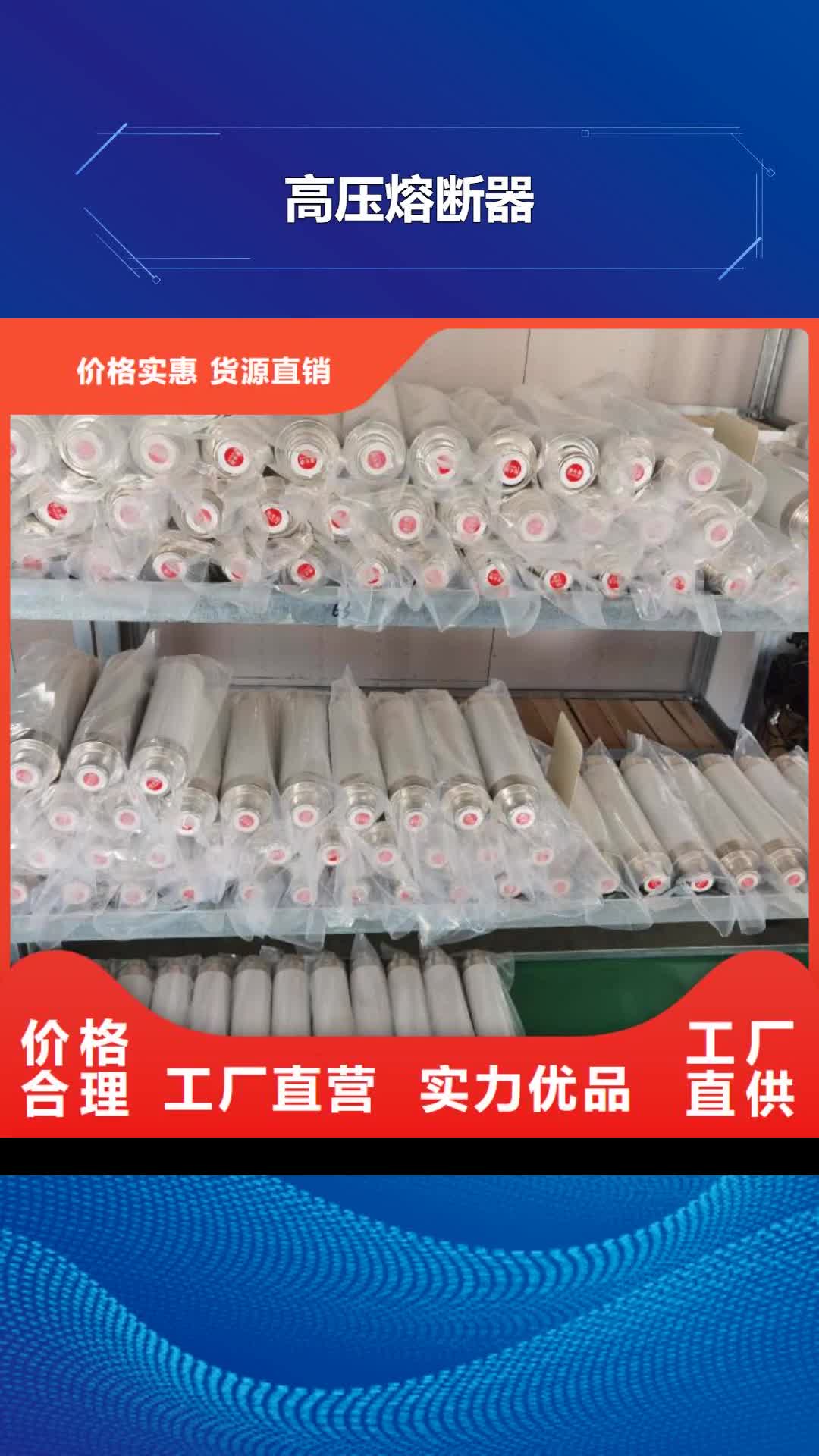 海西 高压熔断器【XRNP-10KV高压限流熔断器】库存量大