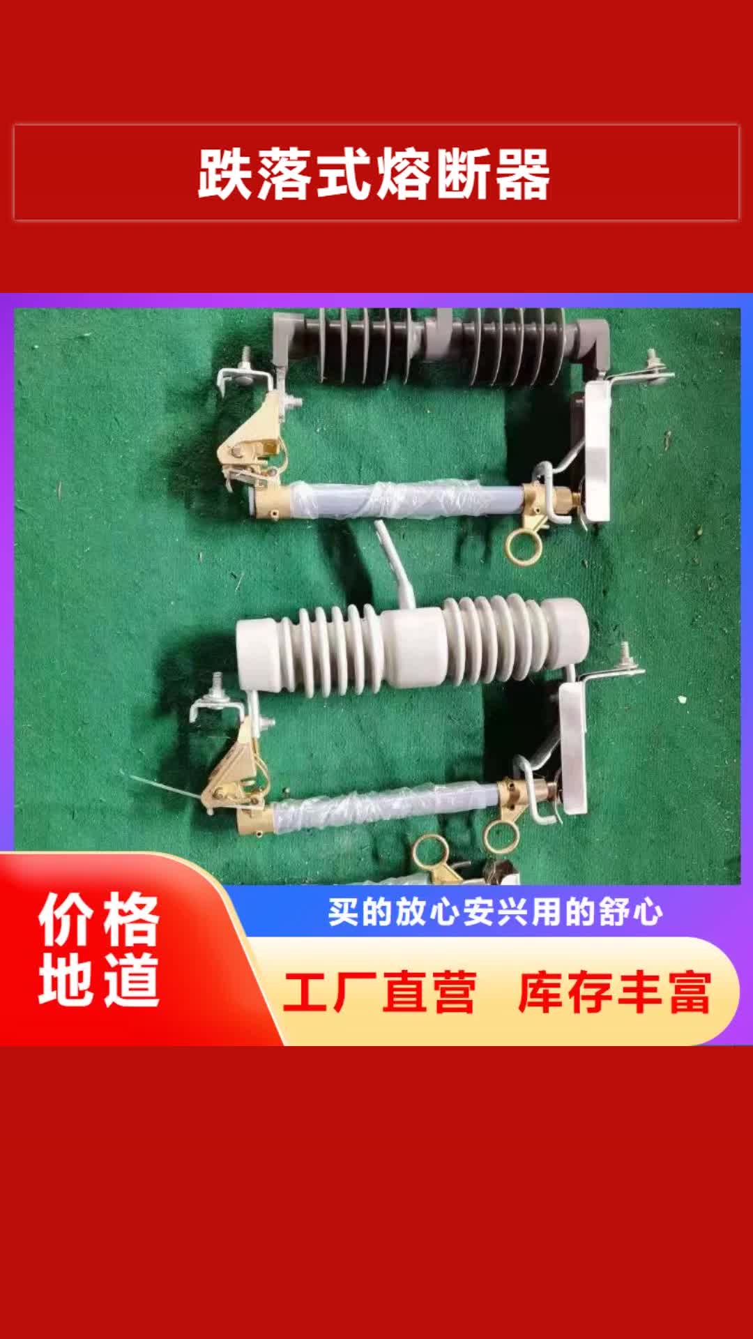 【大理 跌落式熔断器,XRNP-10KV高压限流熔断器随心所欲定制】