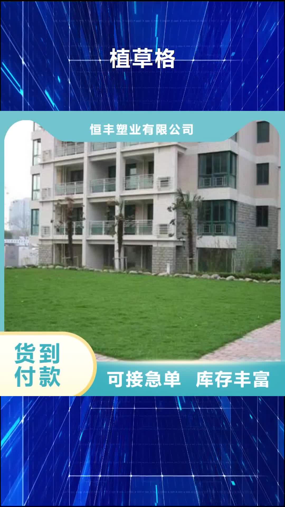 海南【植草格】-PP焊接土工格栅优选货源