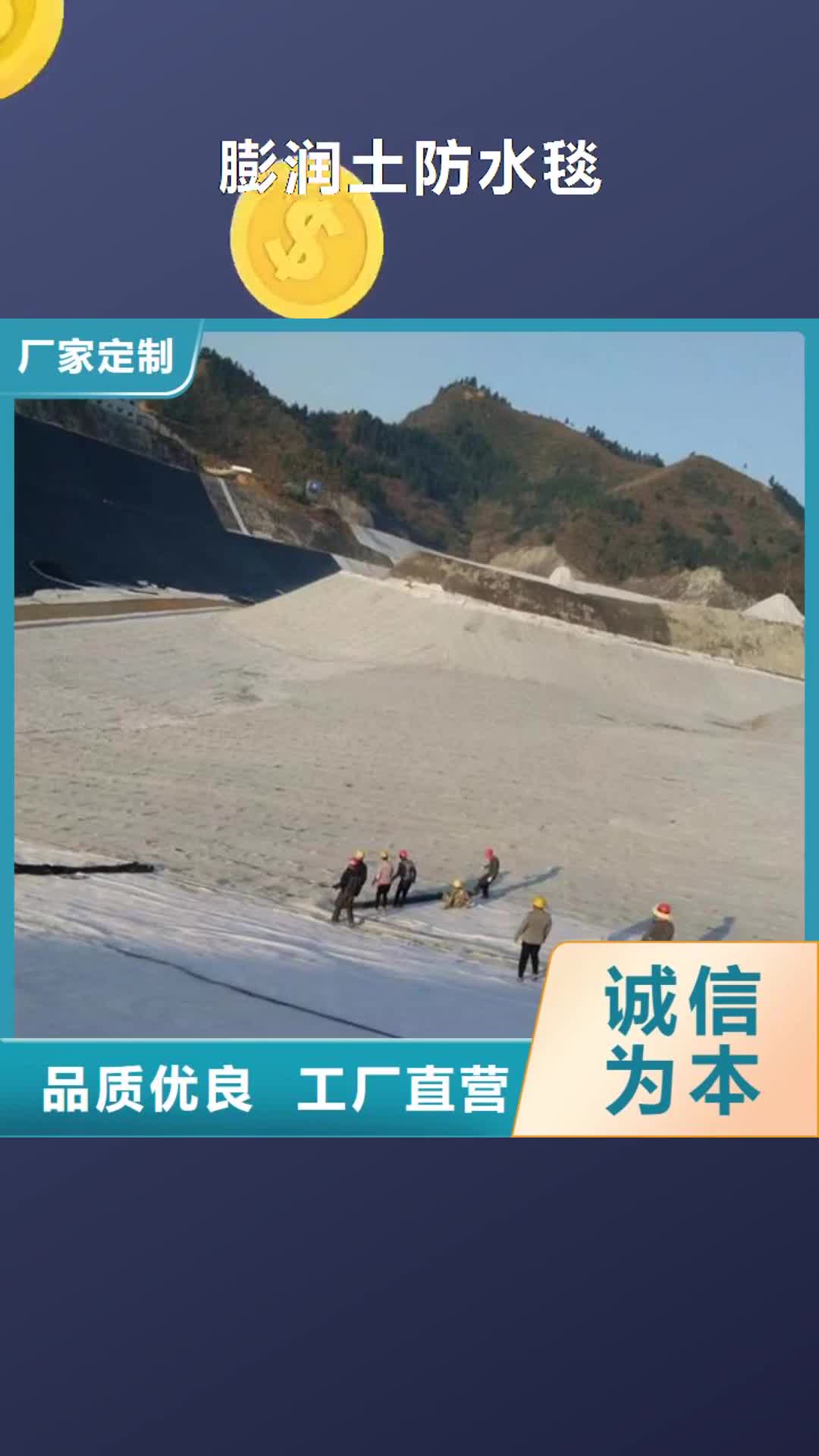 【石家庄 膨润土防水毯真正的源头厂家】