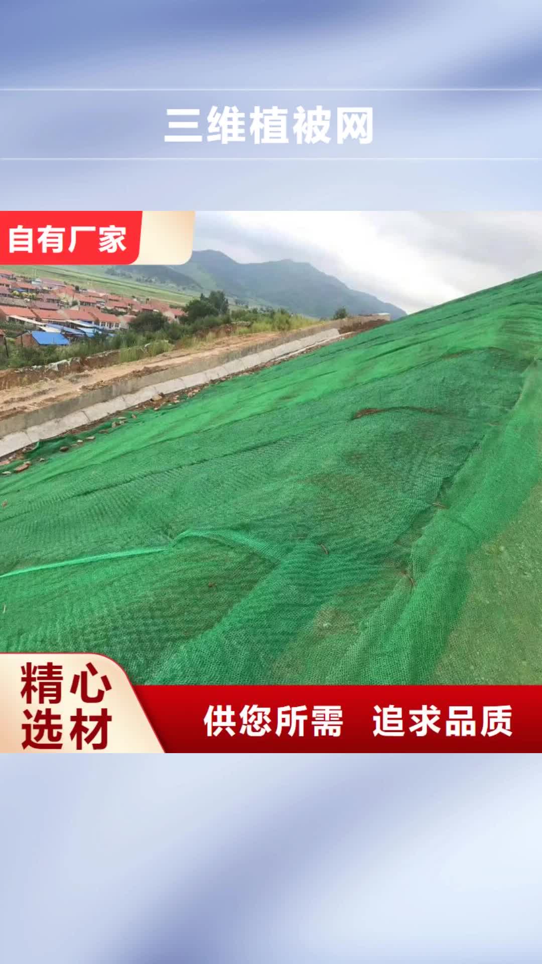 郴州 三维植被网-【双向土工格栅】厂家