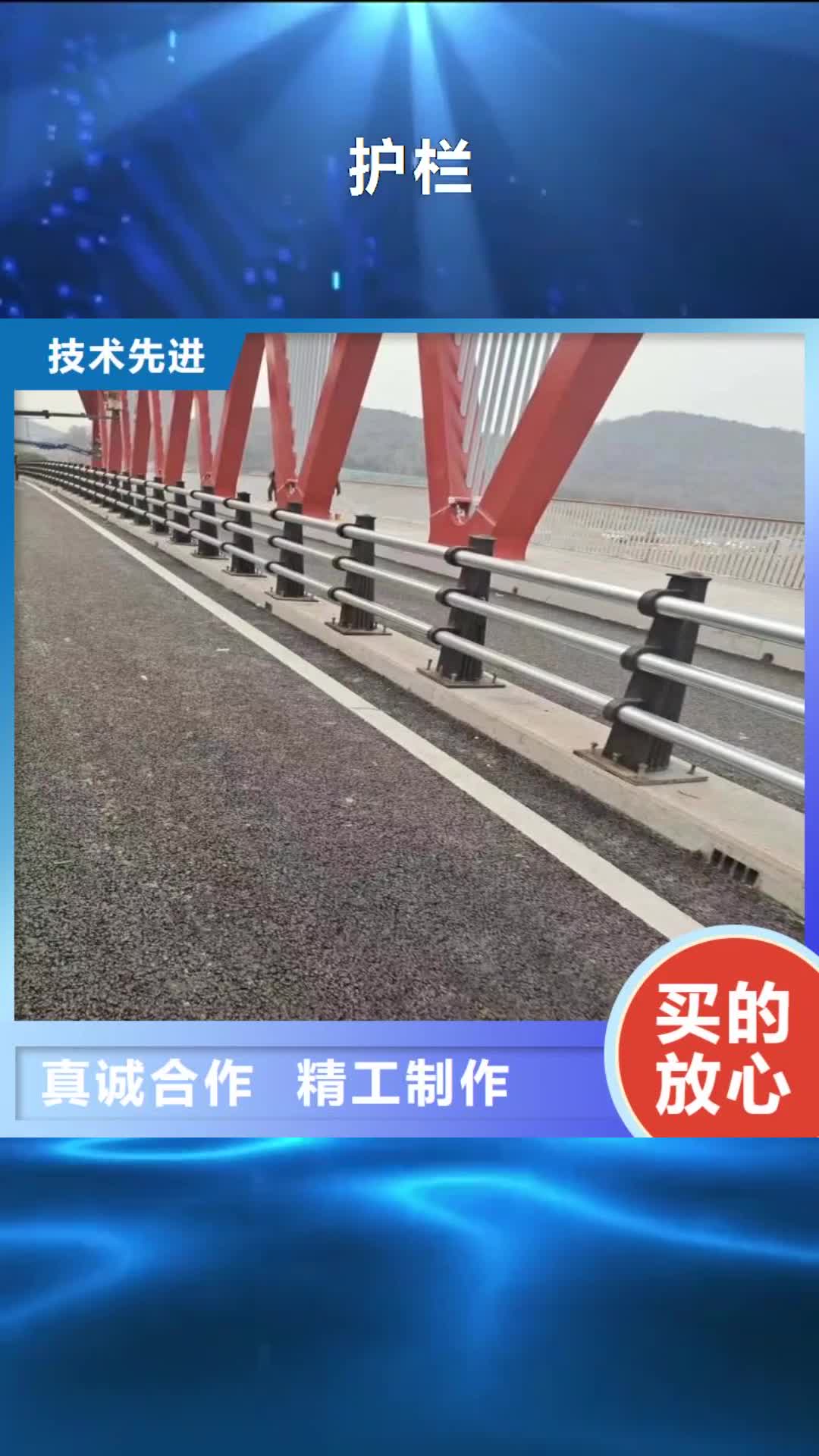 沧州【护栏】 人车分流栏货源直销