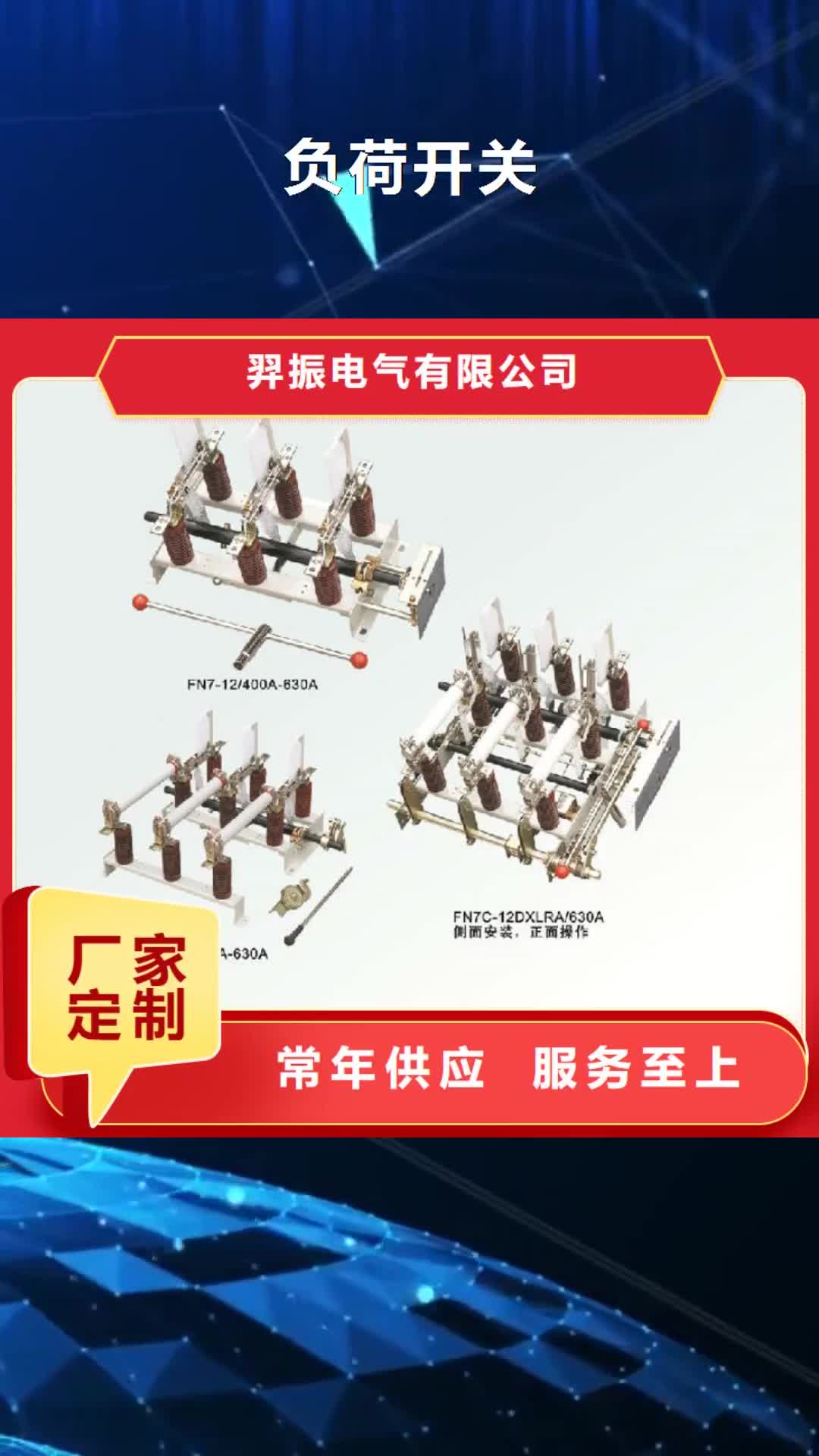 淮南负荷开关 【三相组合式避雷器】性价比高