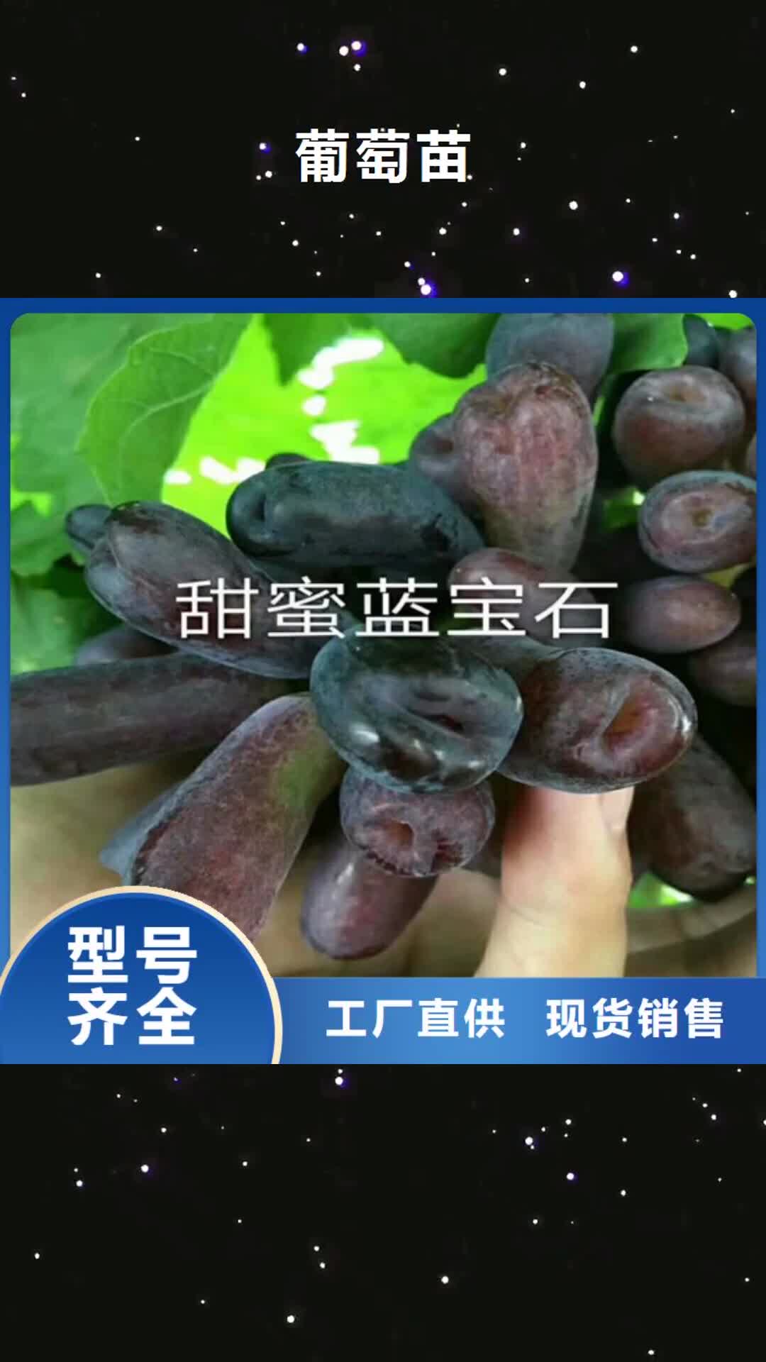 廊坊 葡萄苗 【桃树苗】精心推荐