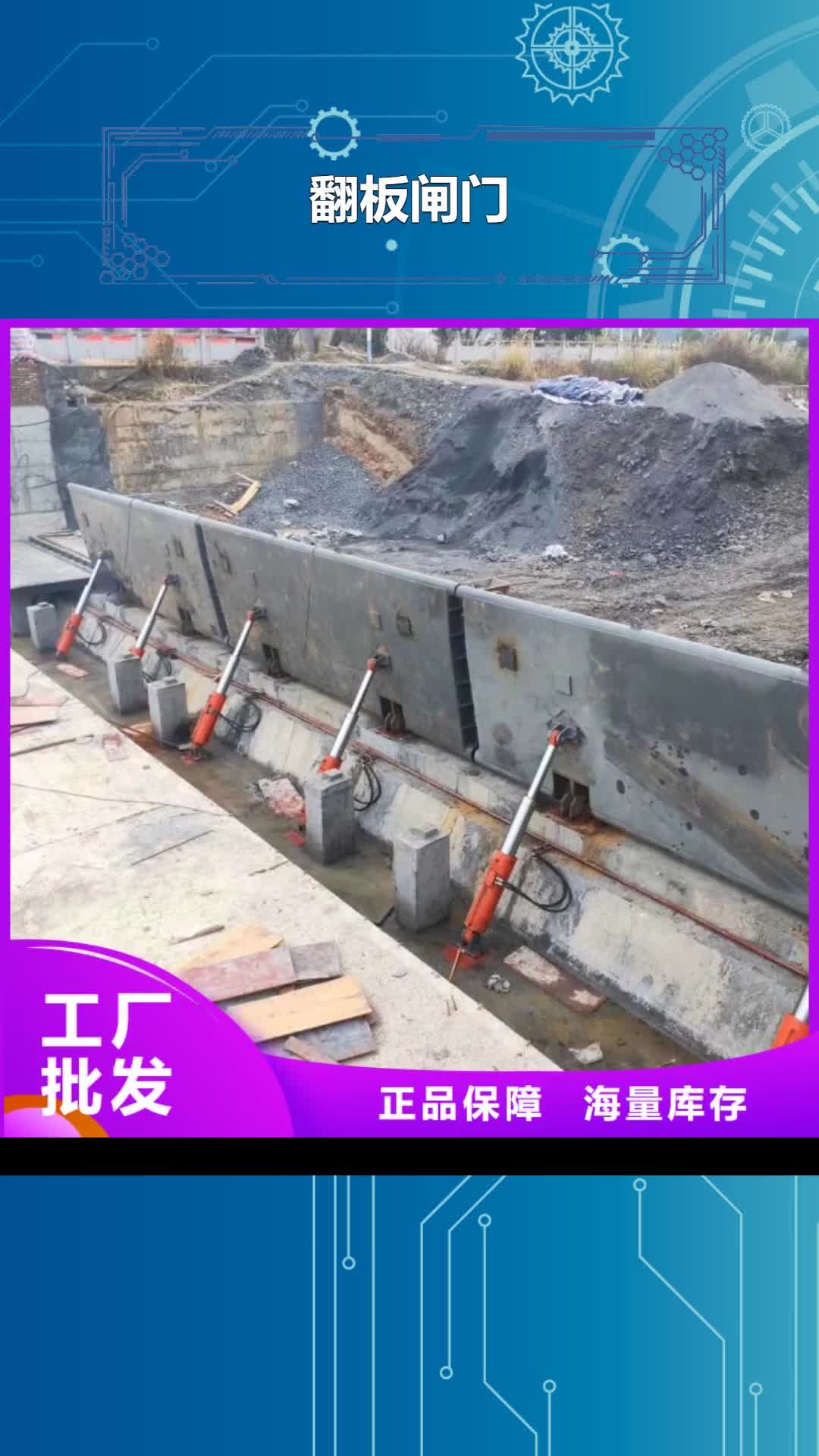 【随州 翻板闸门 液压钢坝支持加工定制】