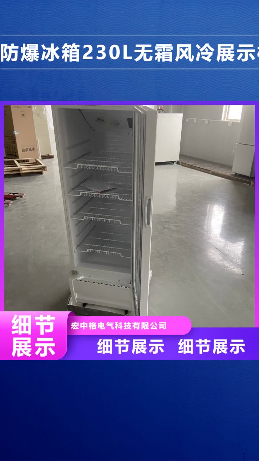 【漯河 防爆冰箱230L无霜风冷展示柜_防爆除湿机敢与同行比质量】