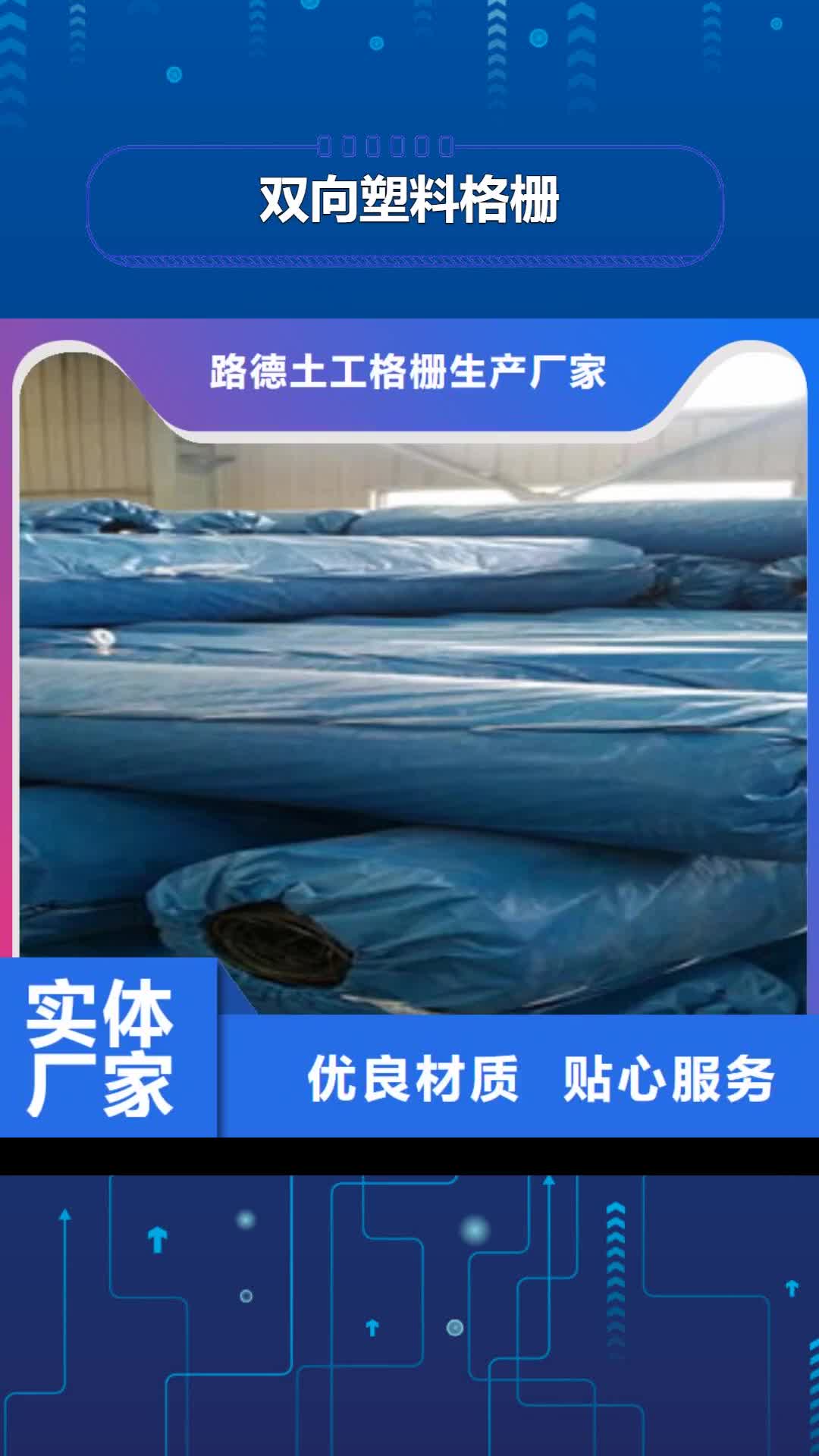 【济宁 双向塑料格栅 塑料土工格栅应用领域】